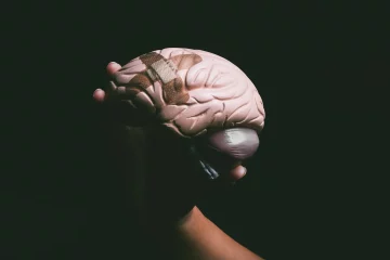 beyin ödemi tedavisi
