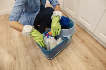 ev temizliği